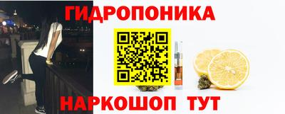 PSILOCYBIN Северобайкальск
