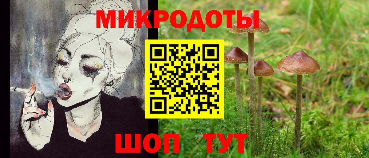 Псилоцибиновые грибы Psilocybine cubensis Саранск