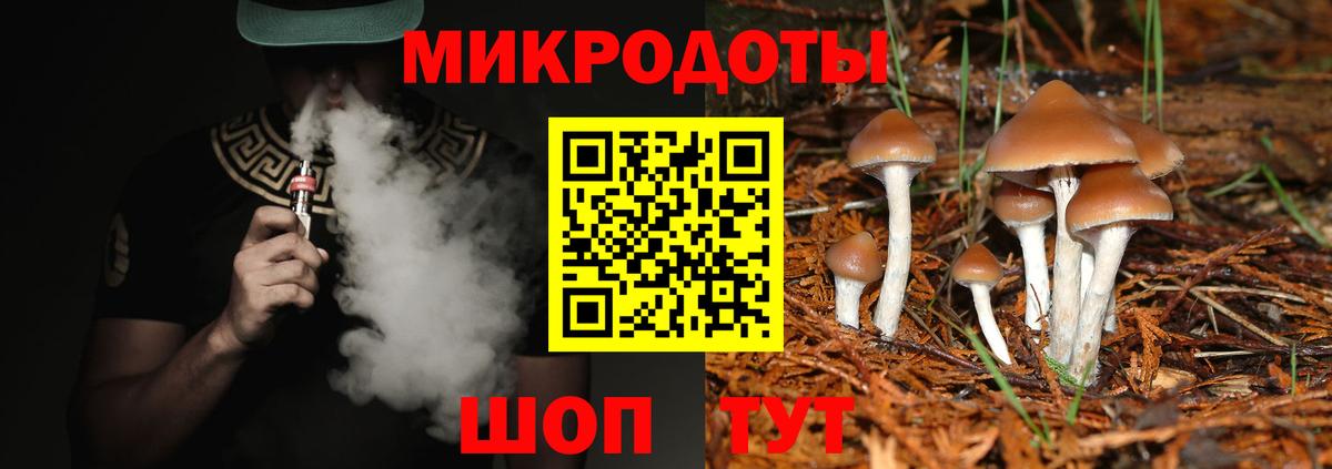 Галлюциногенные грибы GOLDEN TEACHER  Вход с VPN  Саранск 